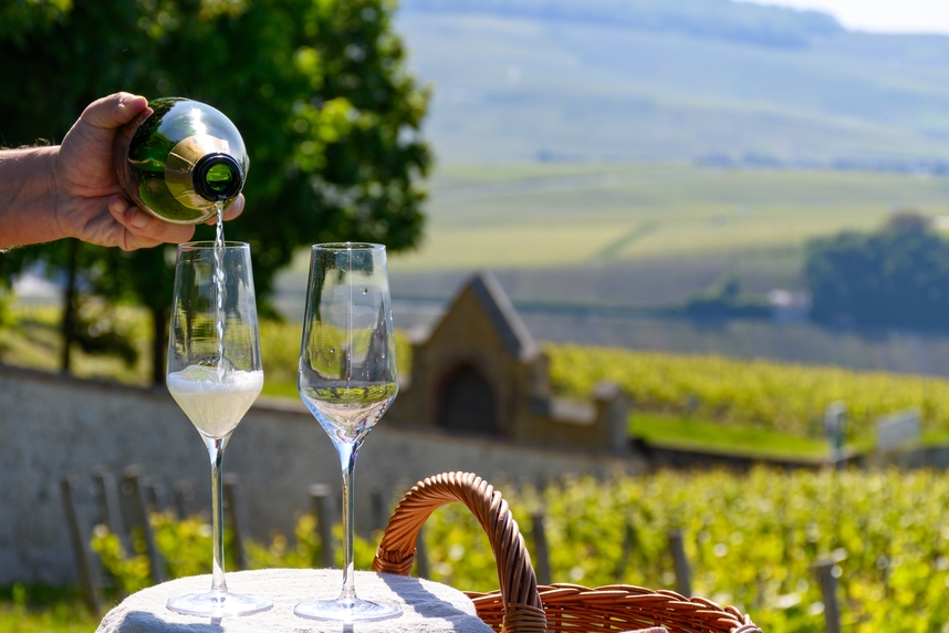 Champagne: history, types, pairings and curiosities